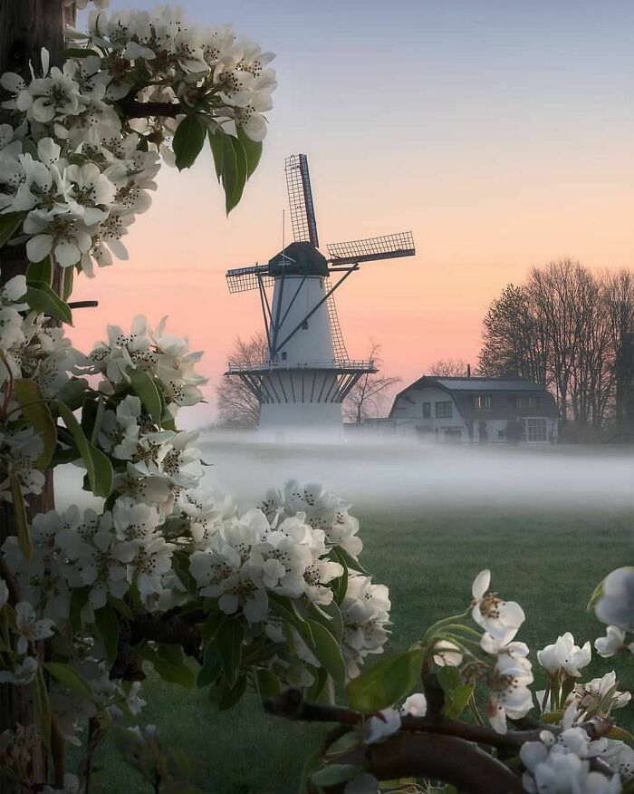 Beautiful-Netherlands-Pics