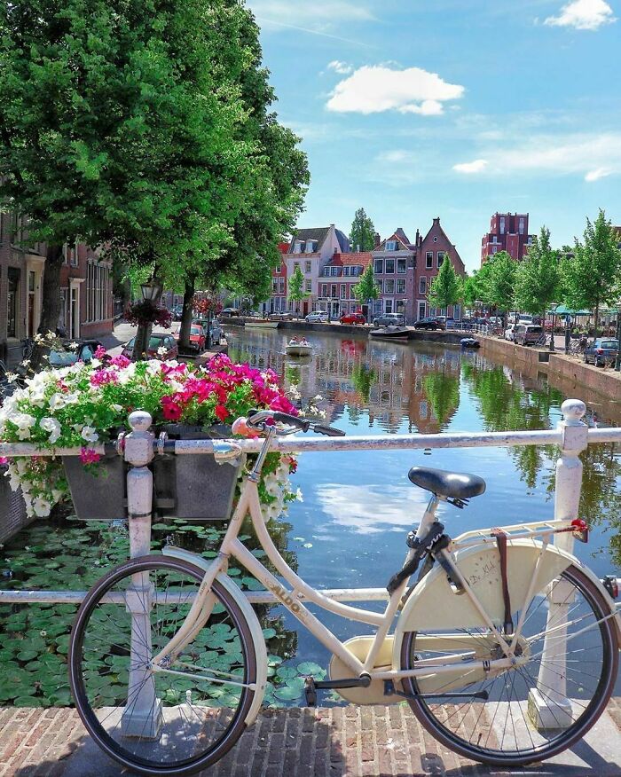 Beautiful-Netherlands-Pics