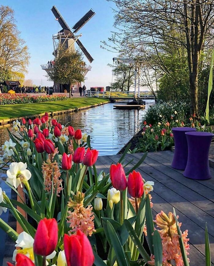 Beautiful-Netherlands-Pics
