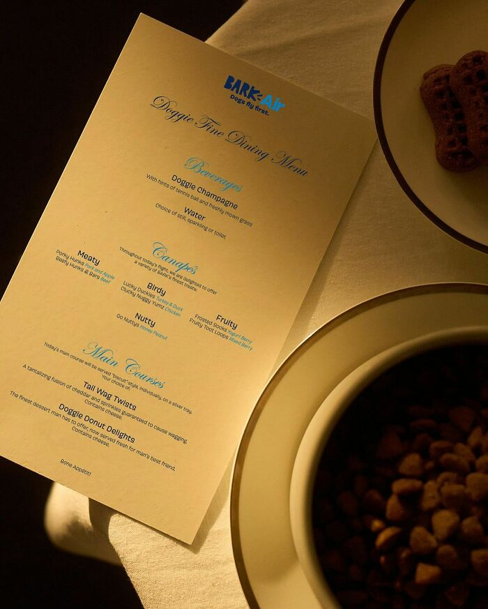 Bark Air, Where Dogs Rule The Skies In Luxury With A New Airline Designed For Them