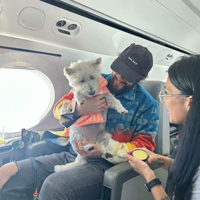 Bark Air, Where Dogs Rule The Skies In Luxury With A New Airline Designed For Them