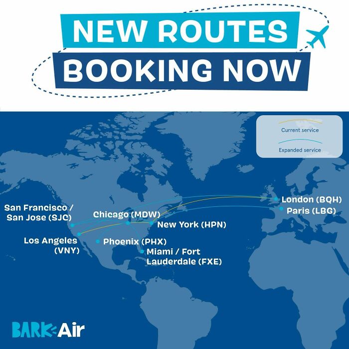 Bark Air, Where Dogs Rule The Skies In Luxury With A New Airline Designed For Them