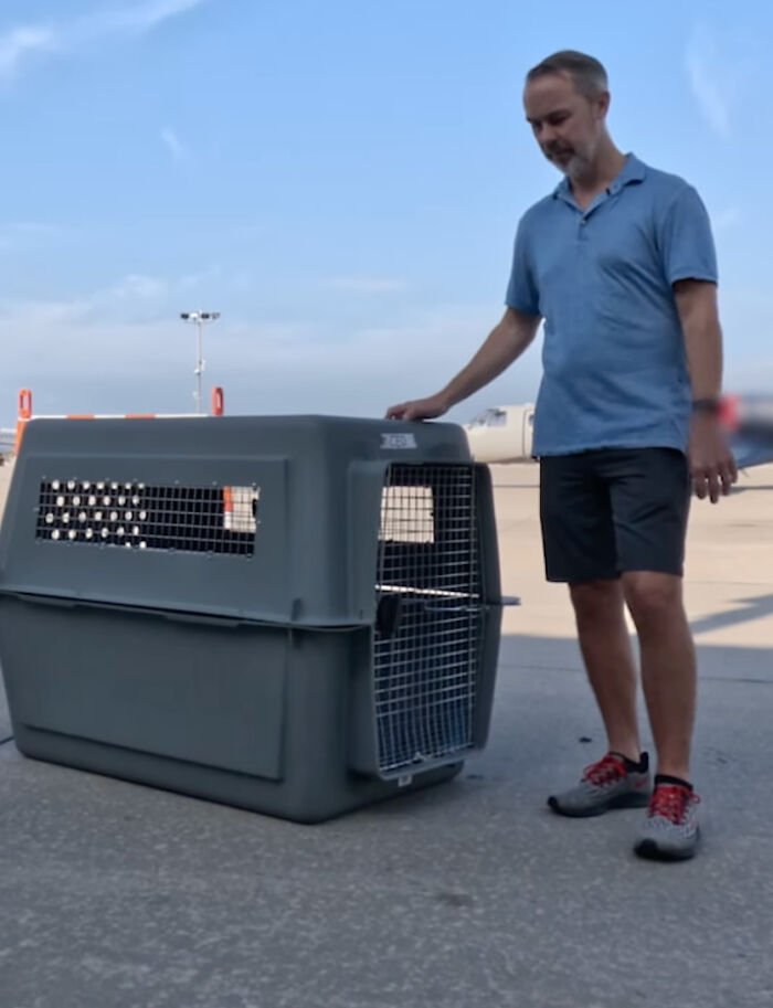 Bark Air, Where Dogs Rule The Skies In Luxury With A New Airline Designed For Them