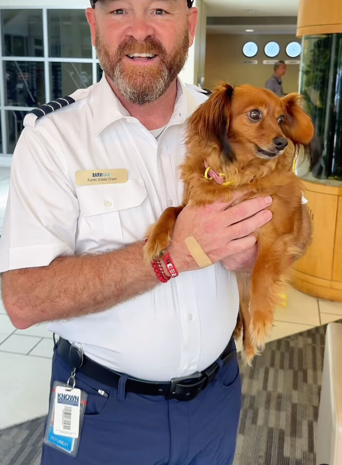 Bark Air, Where Dogs Rule The Skies In Luxury With A New Airline Designed For Them