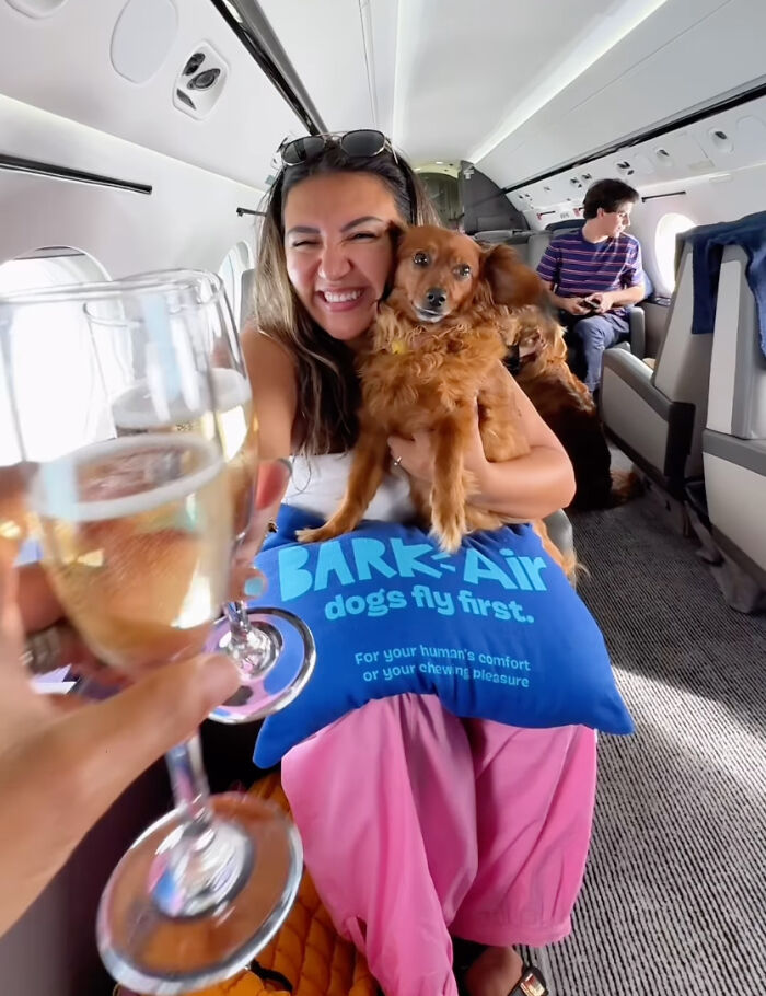 Bark Air, Where Dogs Rule The Skies In Luxury With A New Airline Designed For Them