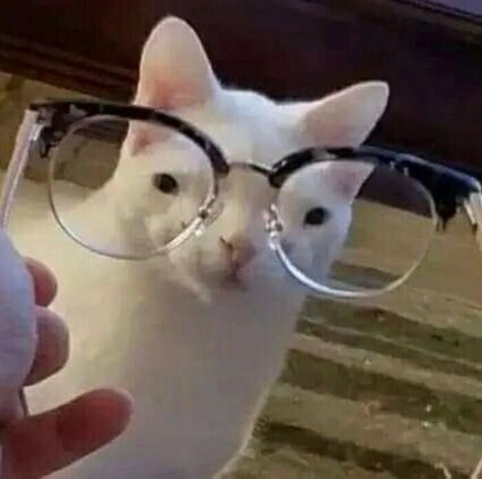 Animals-Going-Goblin-Mode