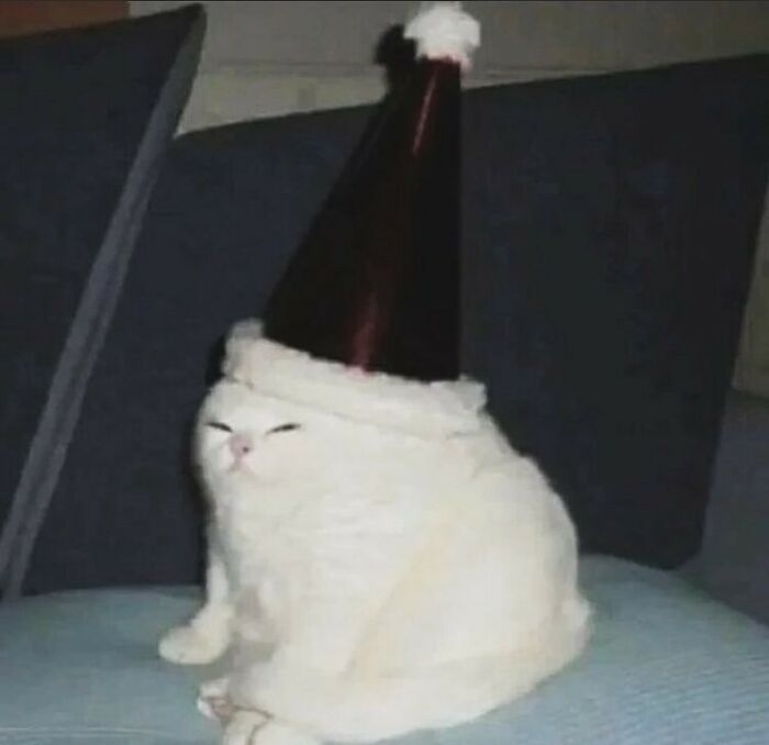 Animals-Going-Goblin-Mode