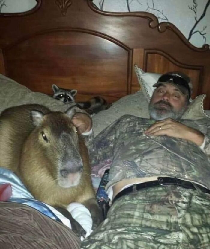 Animals-Going-Goblin-Mode