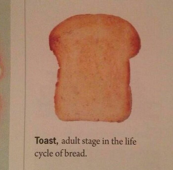 Funny-Nonsense-Pics-Memes-Emotionalclub