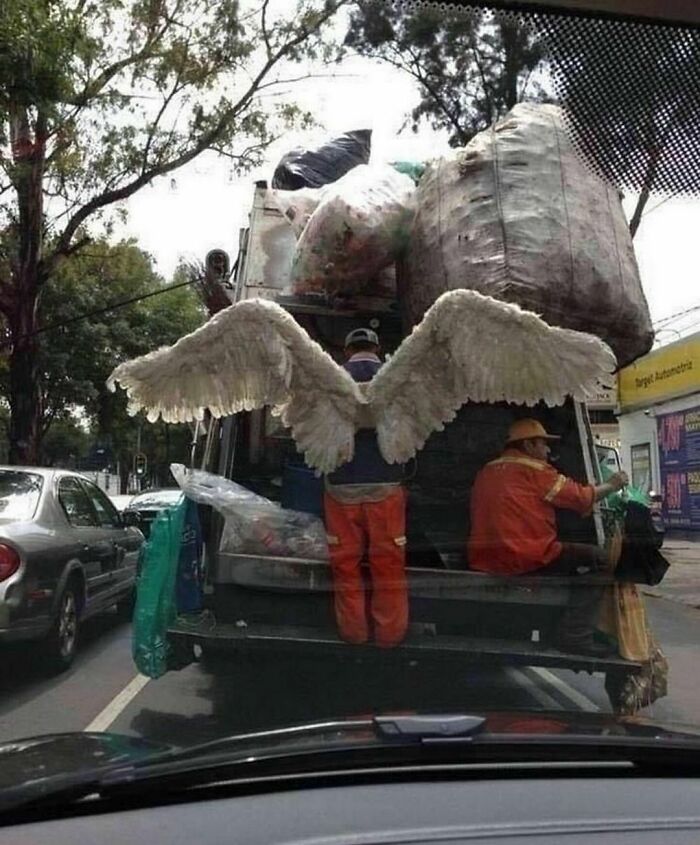 Funny-Nonsense-Pics-Memes-Emotionalclub