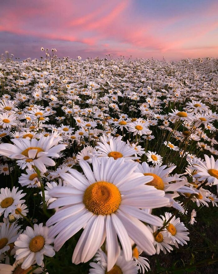 Beautiful-Netherlands-Pics