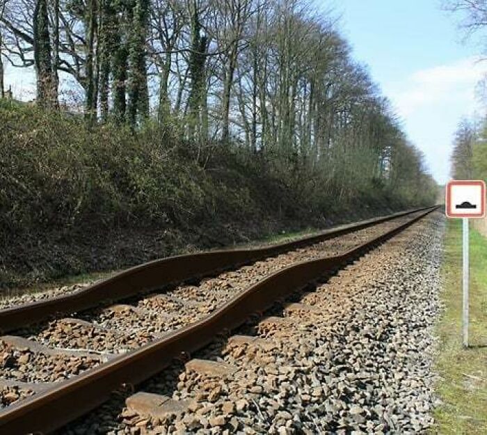 Warped railway tracks bending unnaturally along a forest path, illustrating one of the most cursed pics on Instagram memes.