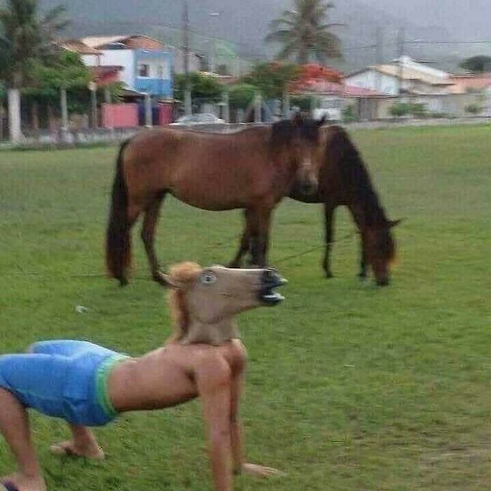 Person wearing a horse mask on hands and feet in a grassy field, with real horses grazing in the background, cursed meme.