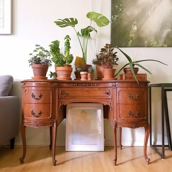 *Immediately Googles How To Decorate My House*