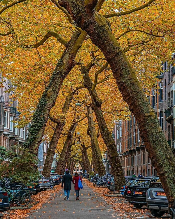 Beautiful-Netherlands-Pics