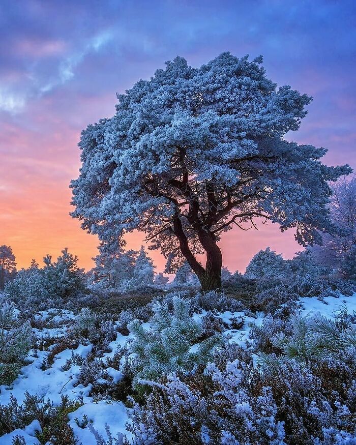 Beautiful-Netherlands-Pics