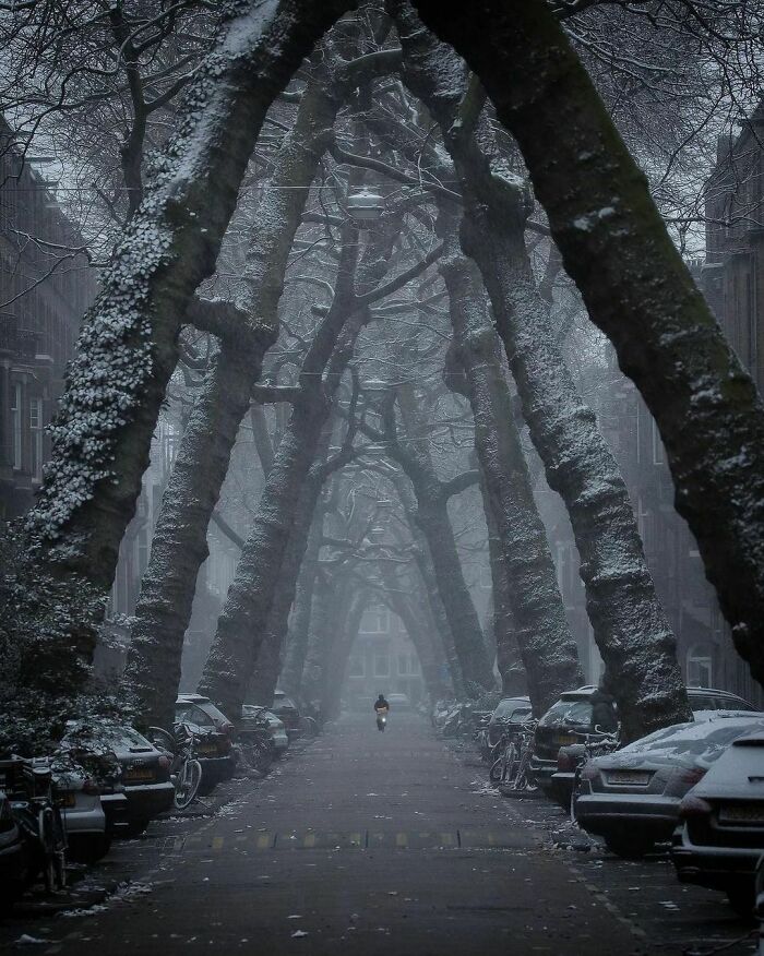 Beautiful-Netherlands-Pics