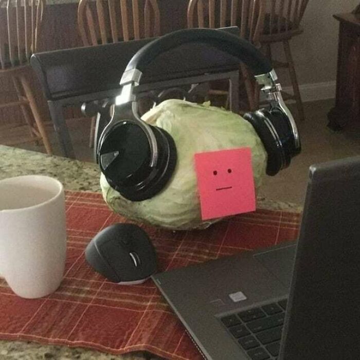 A cabbage with a sticky note face wearing headphones and sitting at a laptop and computer mouse for cursed pics and memes.