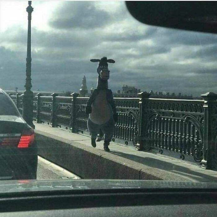 Person in a donkey costume walking on a bridge under cloudy sky, a cursed pic shared on a popular Instagram meme page.