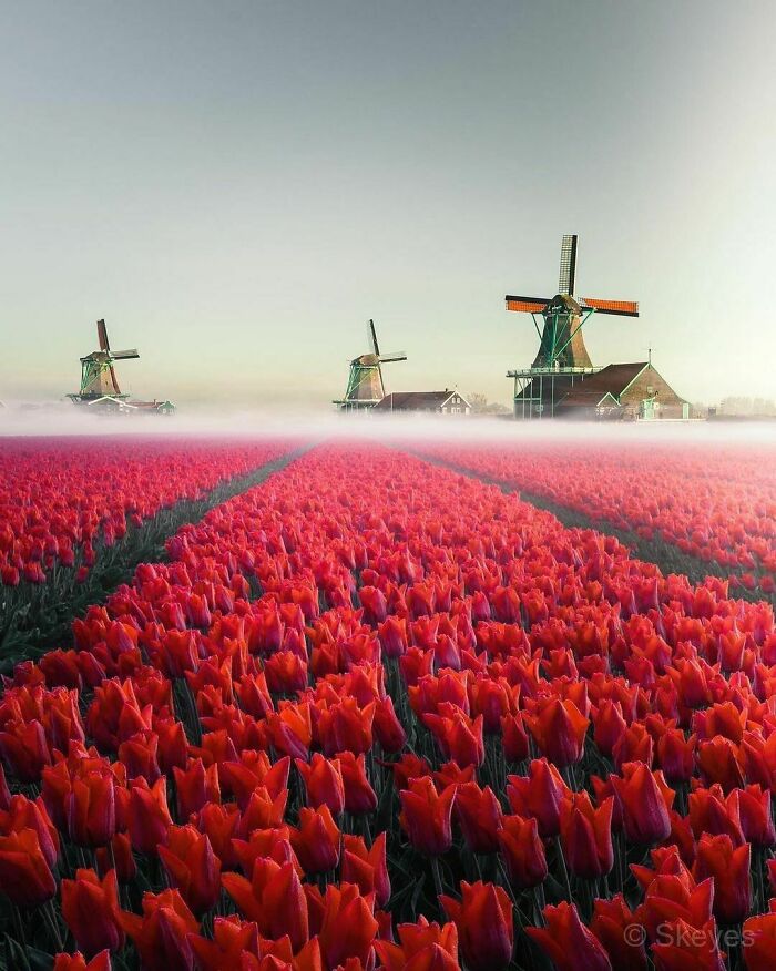 Beautiful-Netherlands-Pics