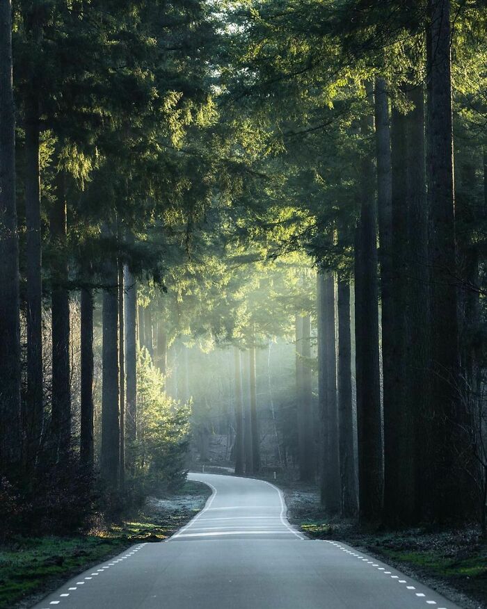 Beautiful-Netherlands-Pics