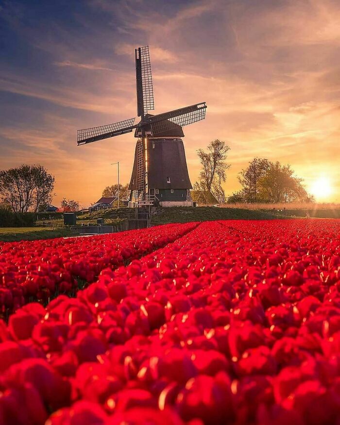 Beautiful-Netherlands-Pics