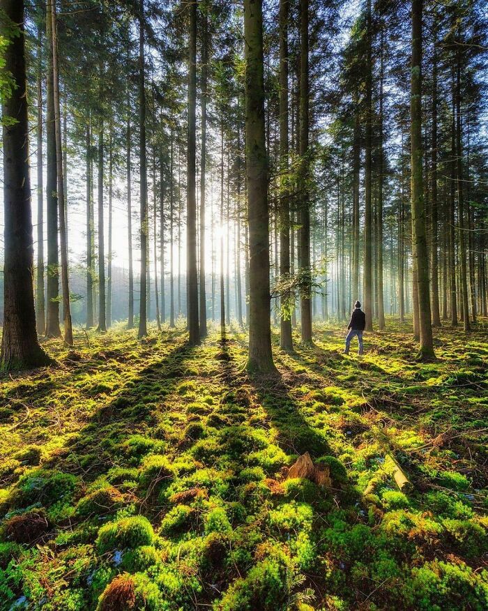 Beautiful-Netherlands-Pics