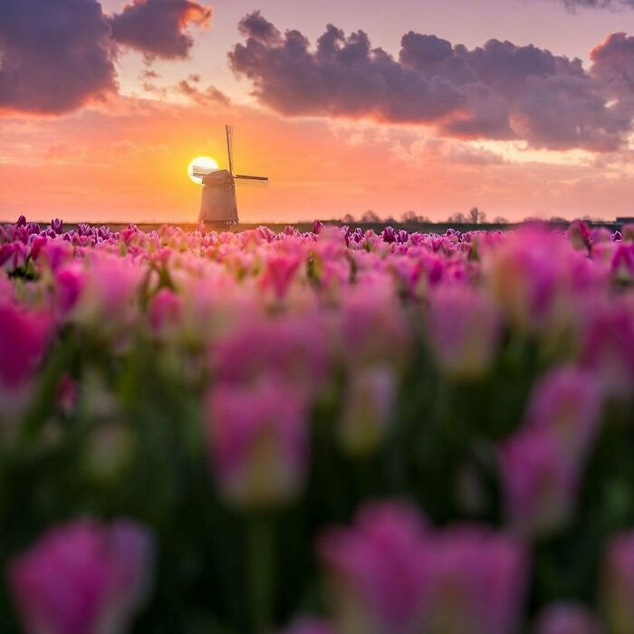 Beautiful-Netherlands-Pics