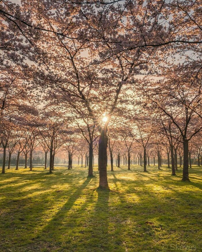 Beautiful-Netherlands-Pics