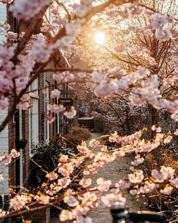 Beautiful-Netherlands-Pics