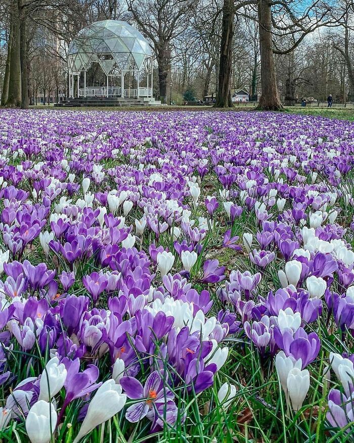 Beautiful-Netherlands-Pics