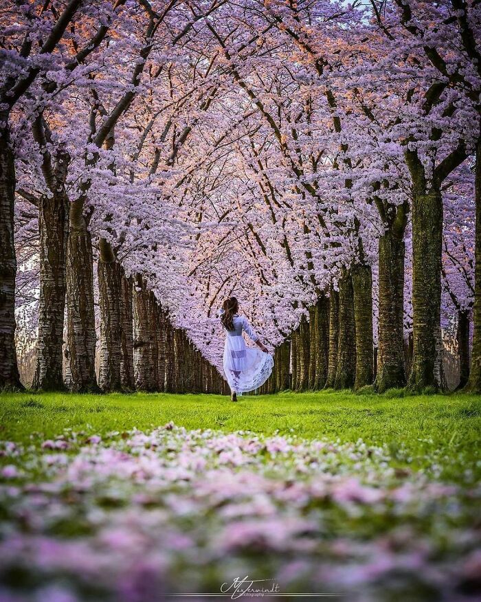 Beautiful-Netherlands-Pics