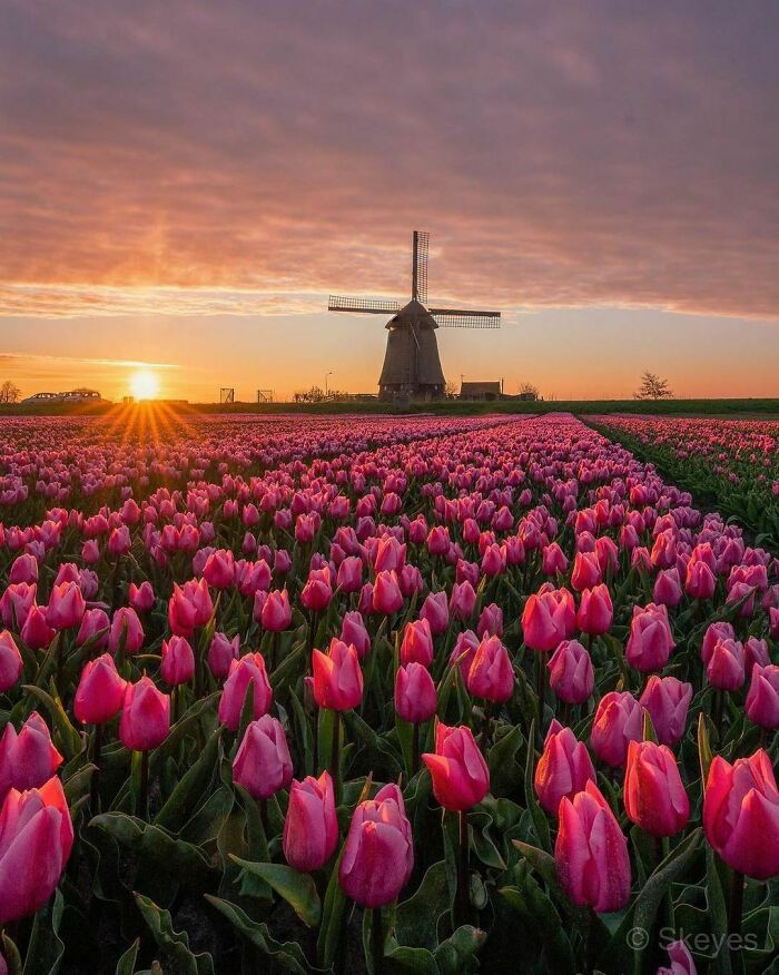 Beautiful-Netherlands-Pics
