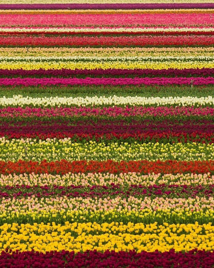 Beautiful-Netherlands-Pics