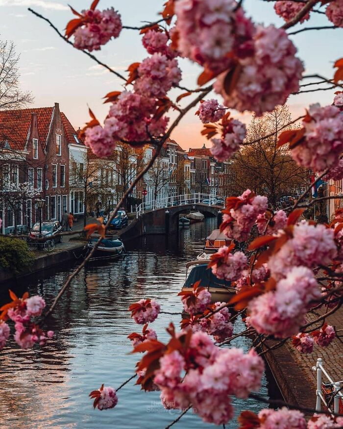 Beautiful-Netherlands-Pics