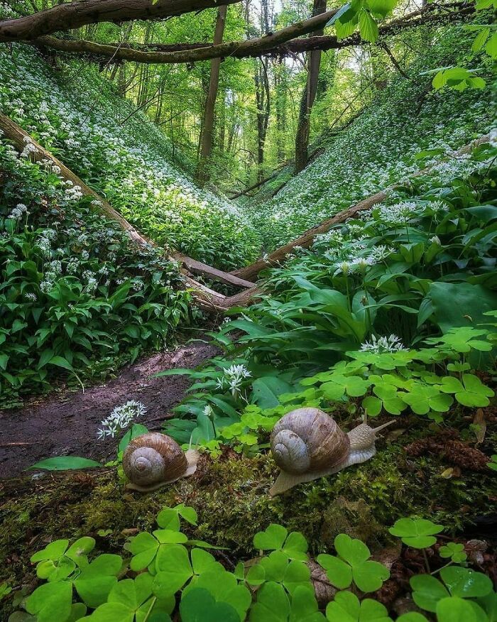 Beautiful-Netherlands-Pics