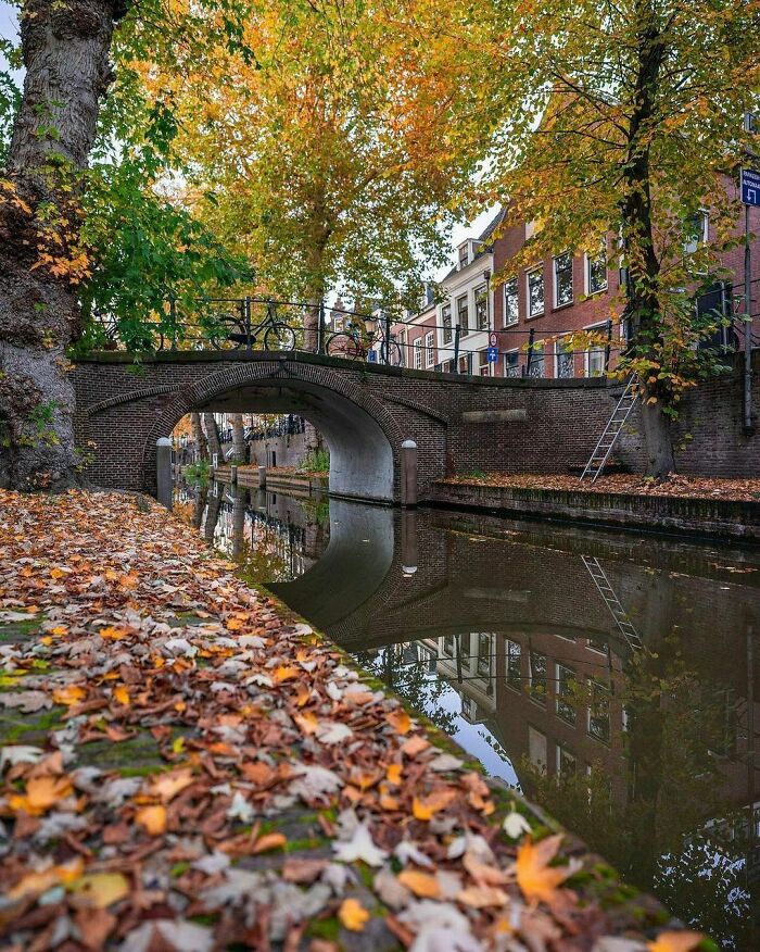 Beautiful-Netherlands-Pics