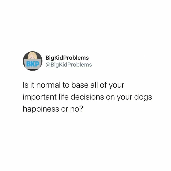 Funny meme about making life decisions based on a dog's happiness, relatable humor from BigKidProblems.