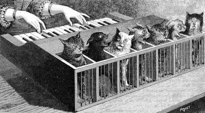Cat Piano