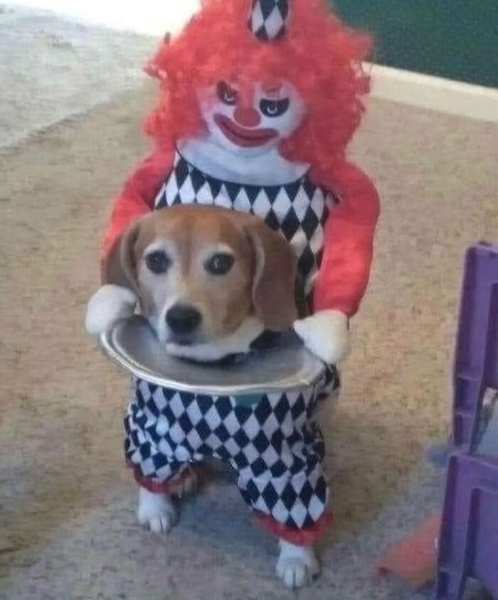 Animals-Going-Goblin-Mode