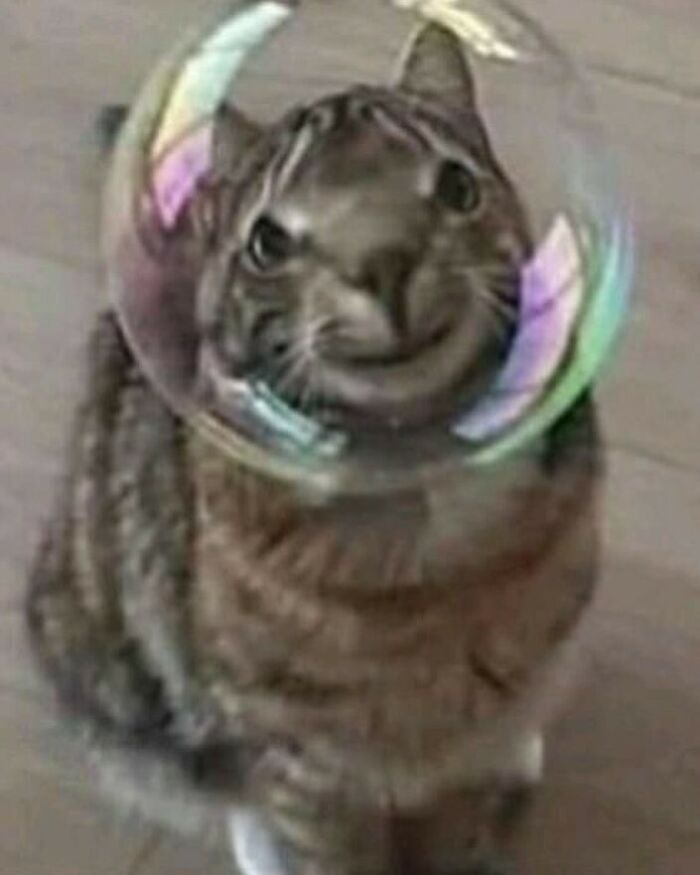 Animals-Going-Goblin-Mode