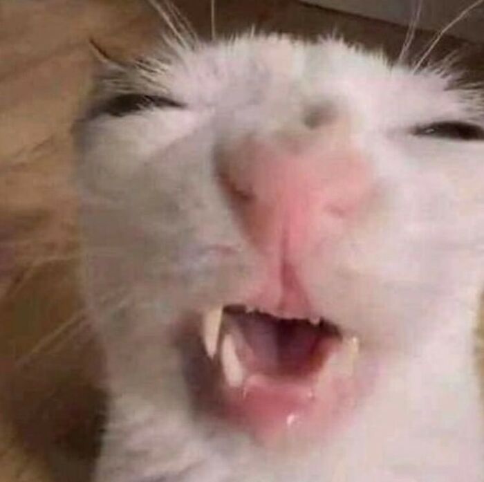 Animals-Going-Goblin-Mode