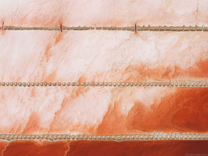 This Photographer Chartered Open Door Airplane To Capture The Colors Of Australia (80 Pics)