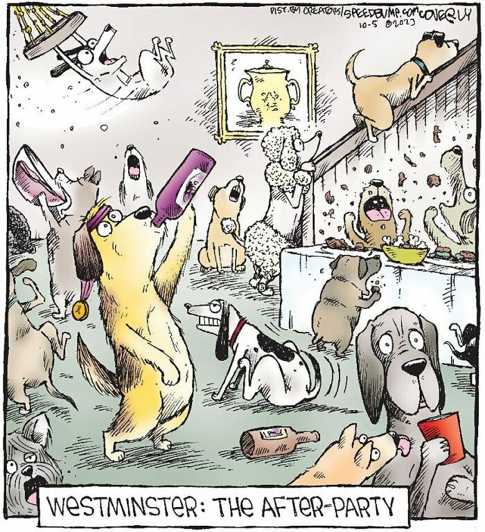 Cartoon of dogs acting wildly at a chaotic after-party, showcasing everyday humor and hilarious animals in Dave Coverly’s Speed Bump style.