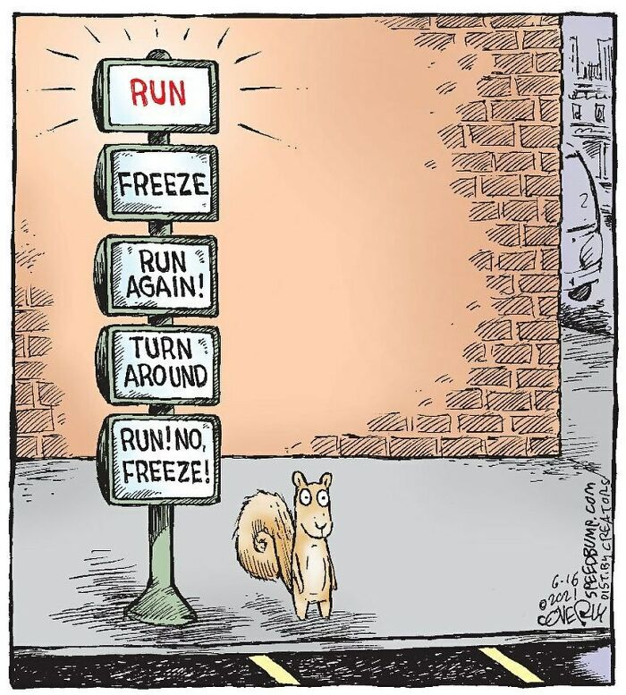 Comic from Dave Coverly’s Speed Bump series showing a confused squirrel next to a confusing set of humorous traffic signs.