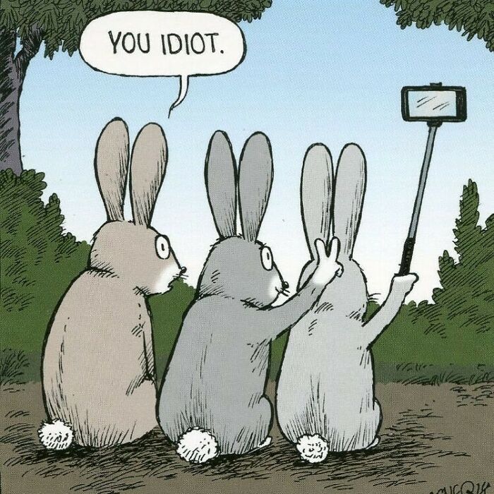 Dave Coverly's 'Speed Bump': A Delightful Dive Into The World Of Dogs (43 Pics)