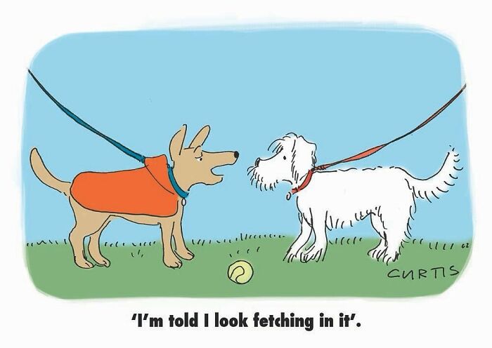 Enjoy Kate Curtis's Single-Panel Comics