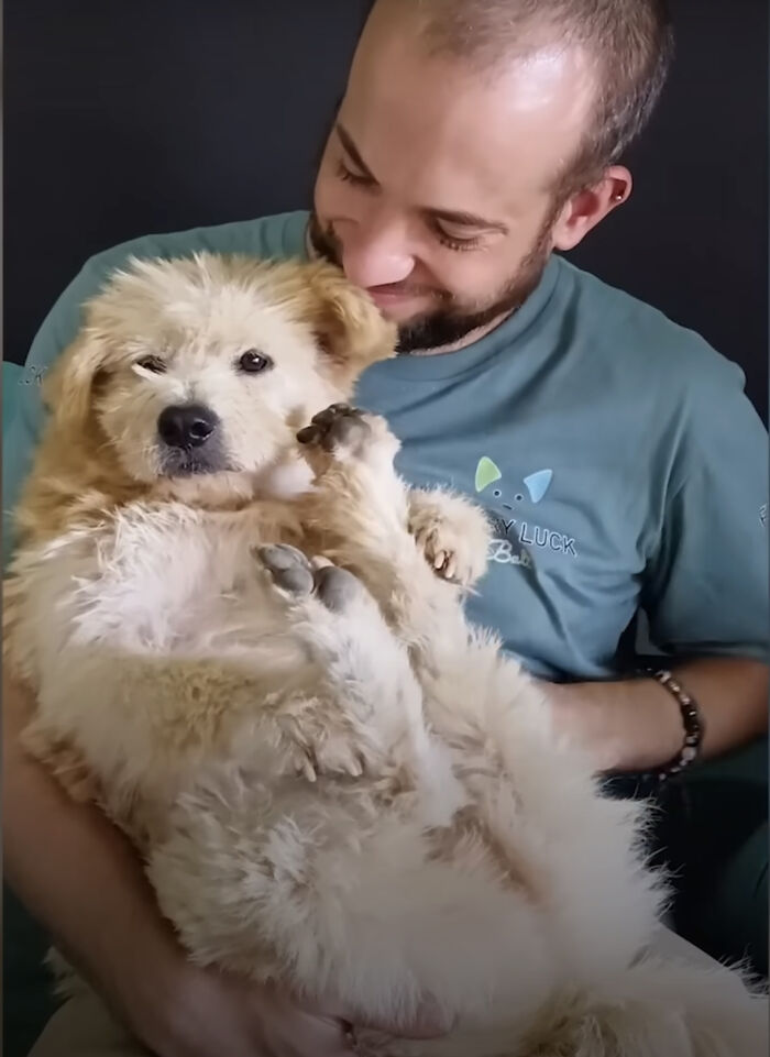 The Unrecognizable Transformation Of A Rescued Dog That Went From Bald To Blonde