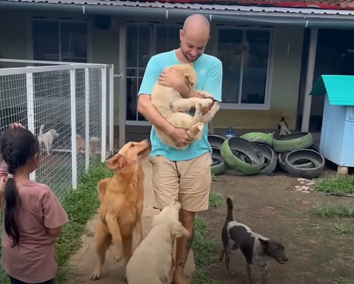 The Unrecognizable Transformation Of A Rescued Dog That Went From Bald To Blonde