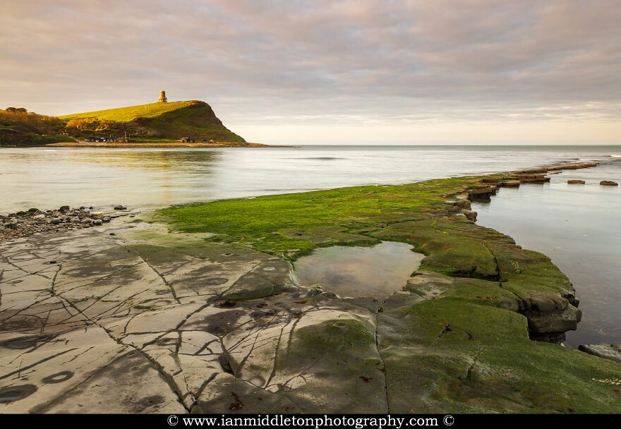 Kimmeridge Bay In Spring